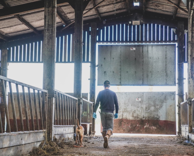 Addressing the Silent Crisis: Mental Health in the Rural and Farming Communities